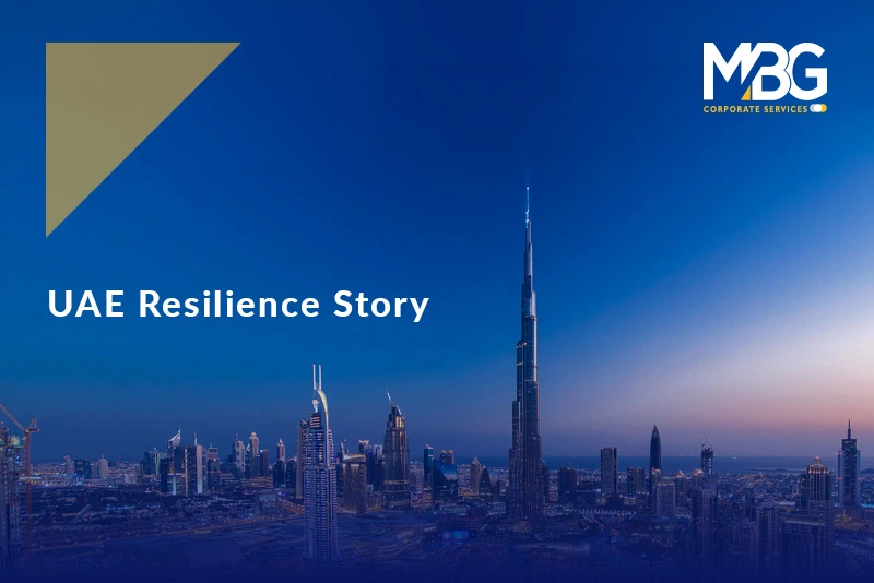 Why Global Investors Trust the UAE: A 10-Year Resilience Story